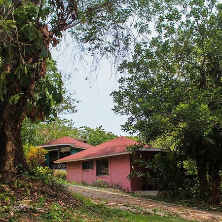 Winíka Alterra Villa Palenque Exteriör bild