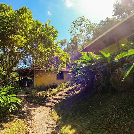 Winíka Alterra Villa Palenque Exteriör bild