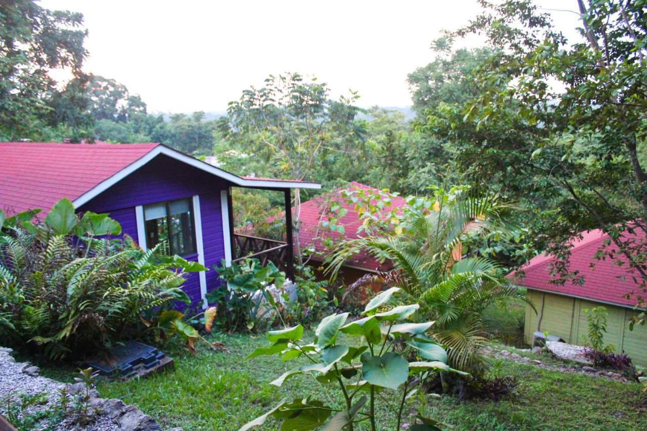 Winíka Alterra Villa Palenque Exteriör bild