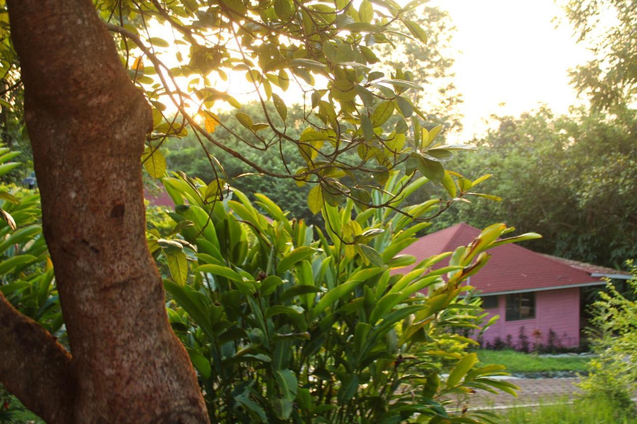 Winíka Alterra Villa Palenque Exteriör bild
