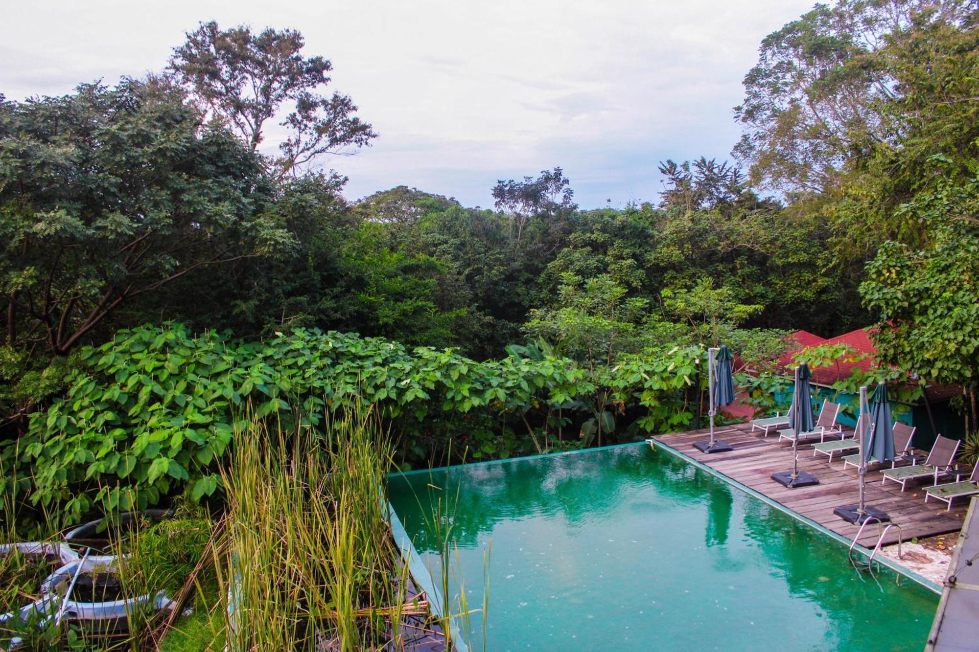 Winíka Alterra Villa Palenque Exteriör bild