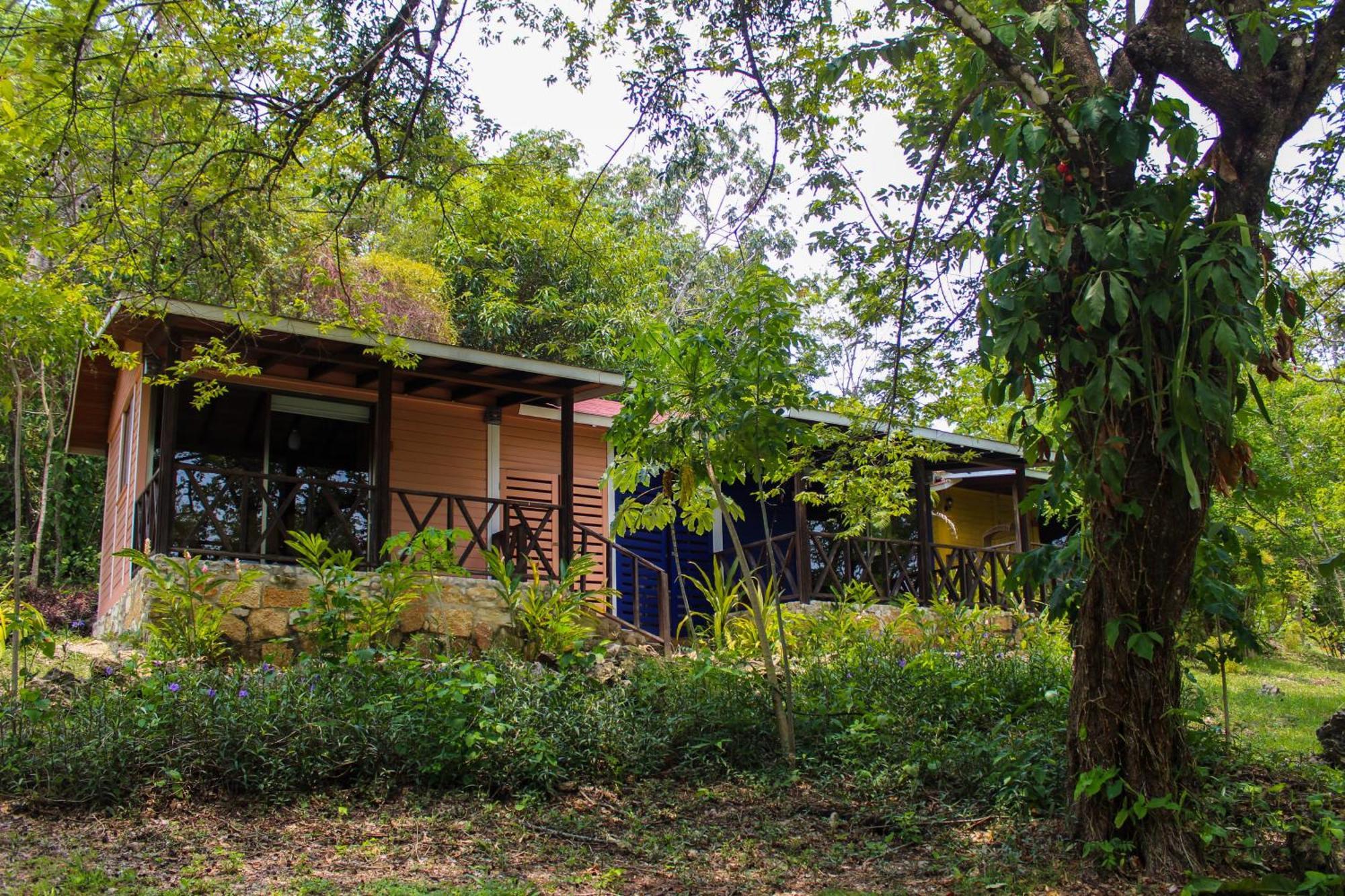 Winíka Alterra Villa Palenque Exteriör bild
