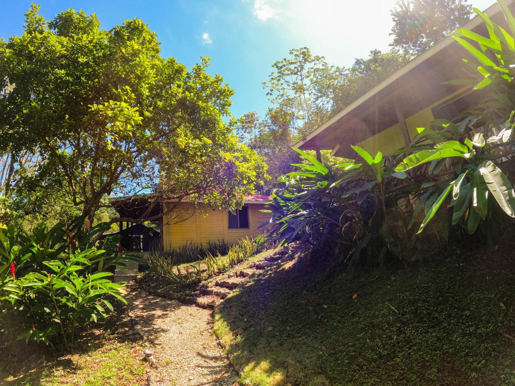 Winíka Alterra Villa Palenque Exteriör bild