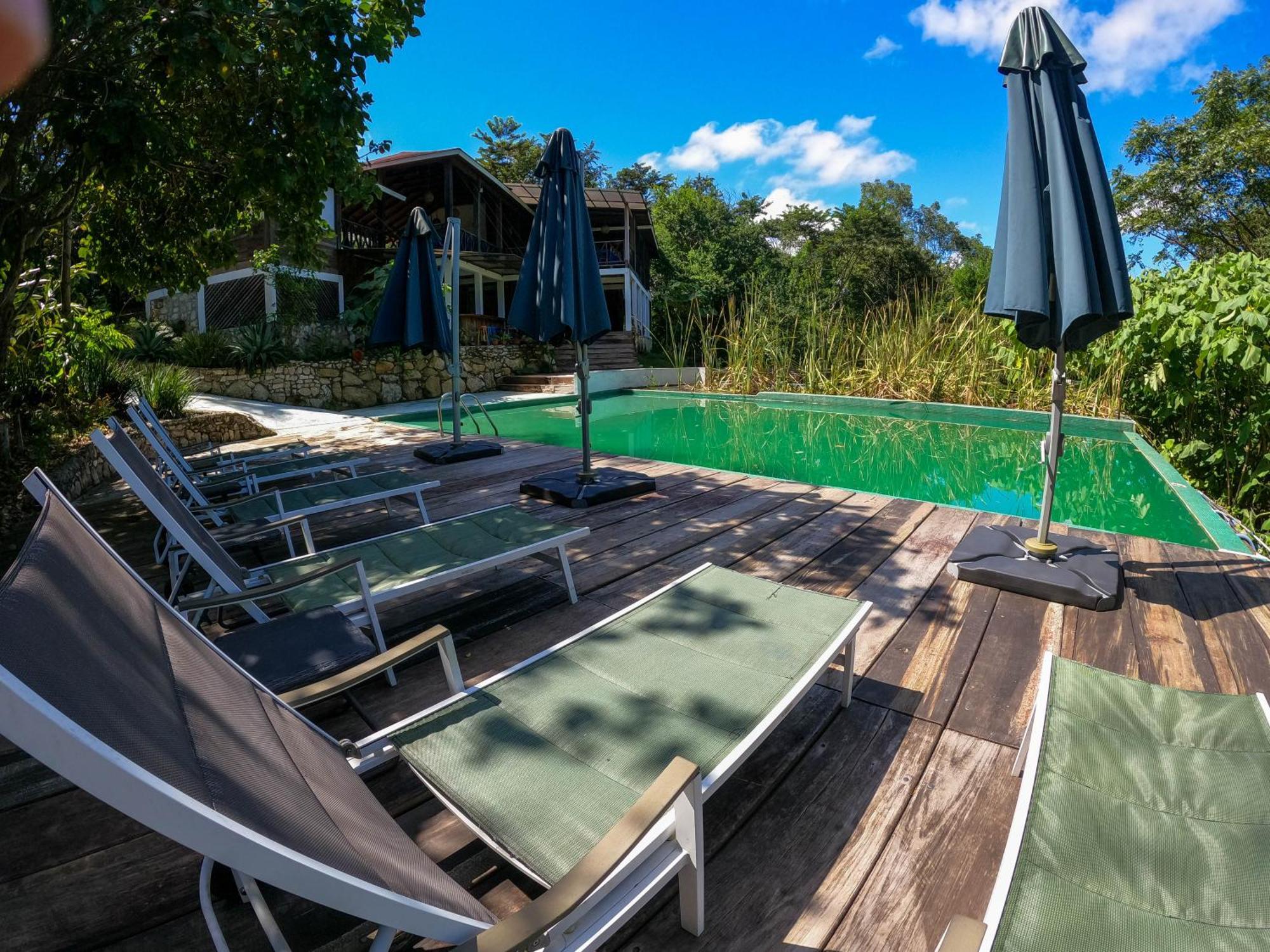 Winíka Alterra Villa Palenque Exteriör bild